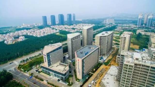 青岛市高新区GDP_专访红岛经济区 青岛高新区工委书记王作安 华为腾讯百度来扎根,看高新区如何更高新(3)