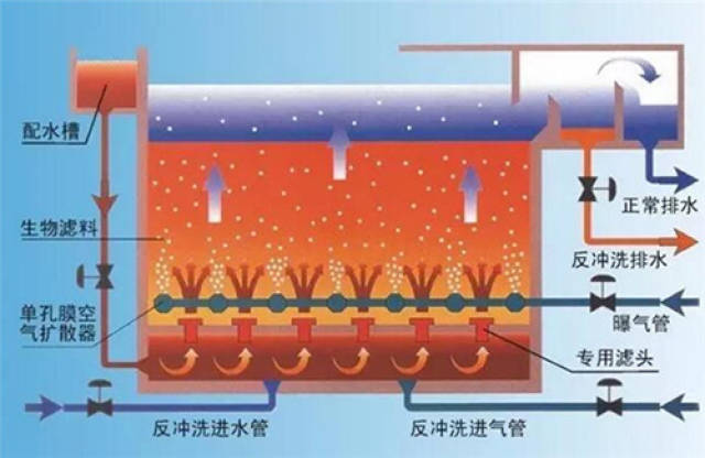 污水处理中曝气生物滤池的构造是怎样的