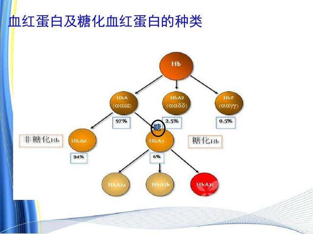 血糖和糖化血红蛋白那个准?