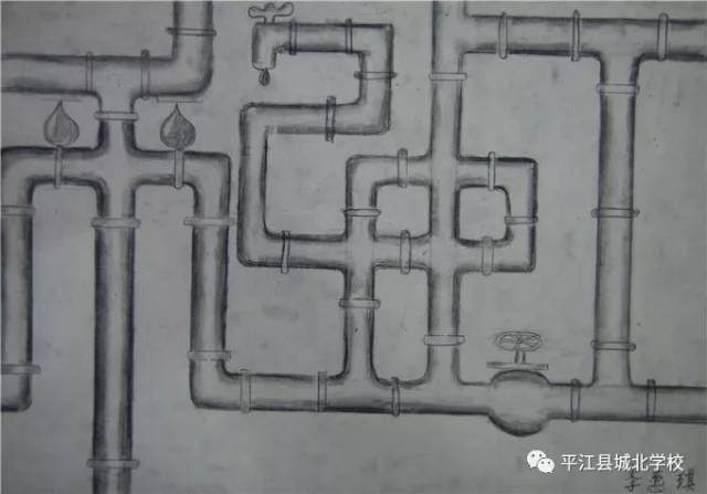 2016年开始学习素描,虽然有点单调,有点挑战,但她说喜欢做有挑战的