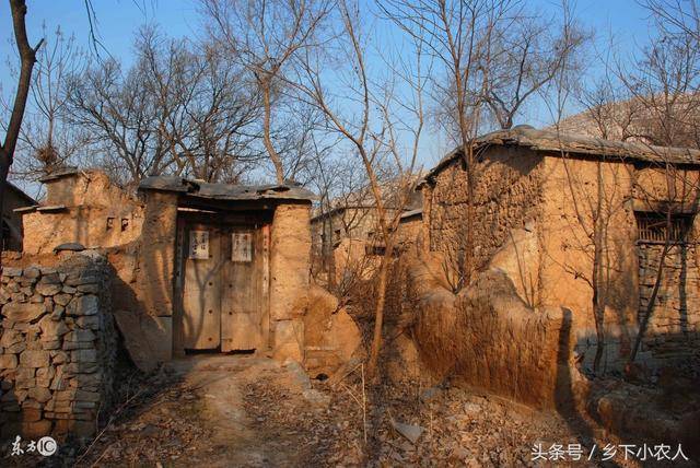 草什么门成语_草什么花什么成语(2)