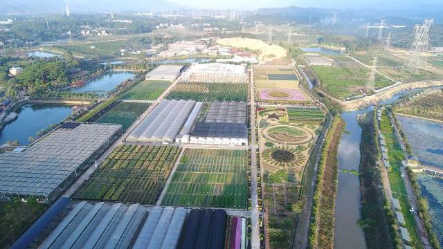 试验示范基地,"国家植物航天育种工程技术研究中心"博罗成果转化与示