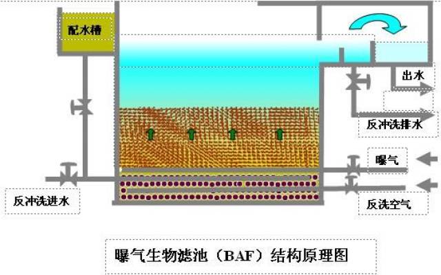 污水处理中曝气生物滤池的构造是怎样的