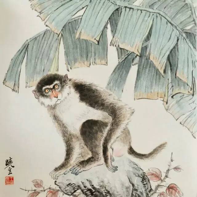 名家王晓云一手活灵活现的猴子画的真的好