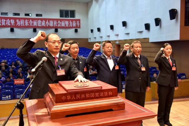 【聚焦两会】桂东县第十五届人民代表大会第二次会议胜利闭幕