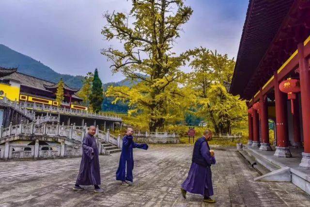 在禅寺参禅拜佛,回顾这一年我们的经历路程,冥想沉思, 在莲花宝地般的