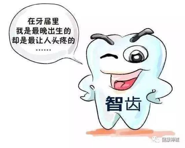 长智齿要不要拔?权威回答来了!-搞笑频道-手机搜狐