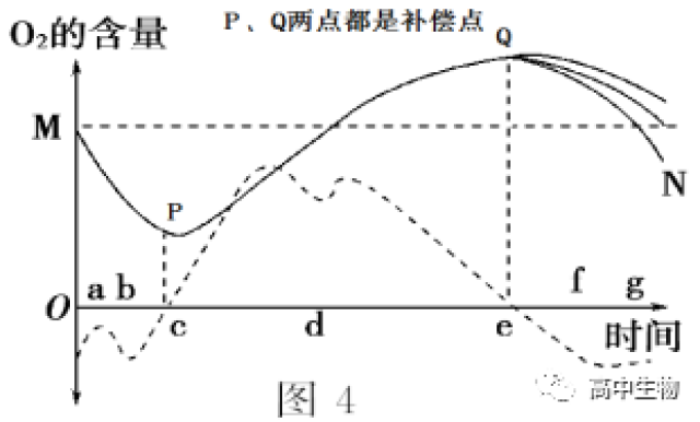 提分专题丨细胞呼吸与光合作用图像类型汇总