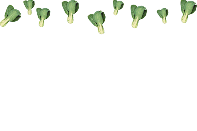 舍不得青菜