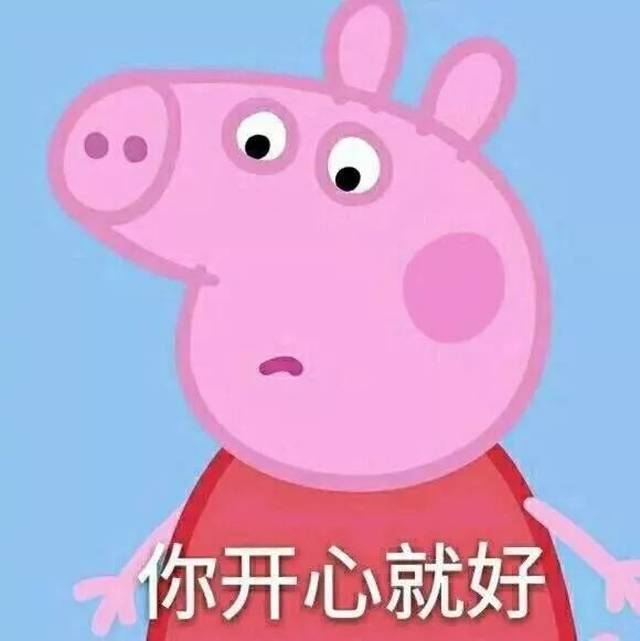 从儿童圈红到全年龄的代表猪物 它的成功离不开 它吹风机的头型和骚粉