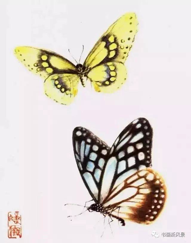 这师徒俩画蝴蝶太美啦!