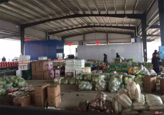 益阳桐森商贸有限公司：紧跟行业脉搏，把握市场机遇