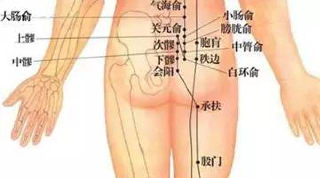 中医调理妇科的根本治疗是打通臀部经络?