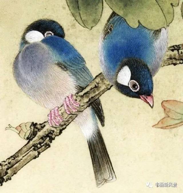 一组绝美的工笔小鸟!太美啦!