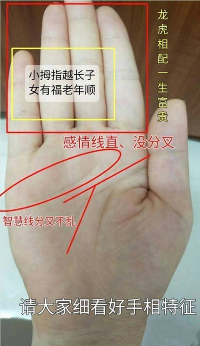 手相小指向外翻,注定离婚人,不过手掌有型却是富贵命