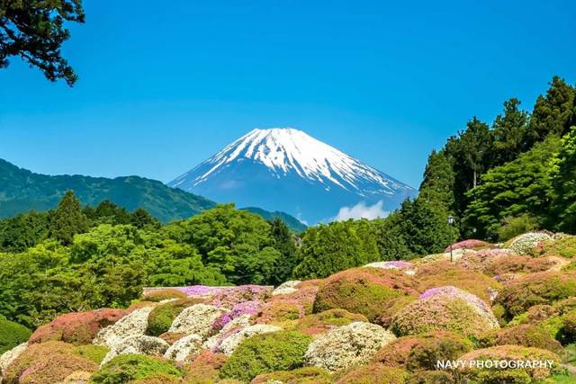 据说99%的女人抵挡不了这9个地方的诱惑!