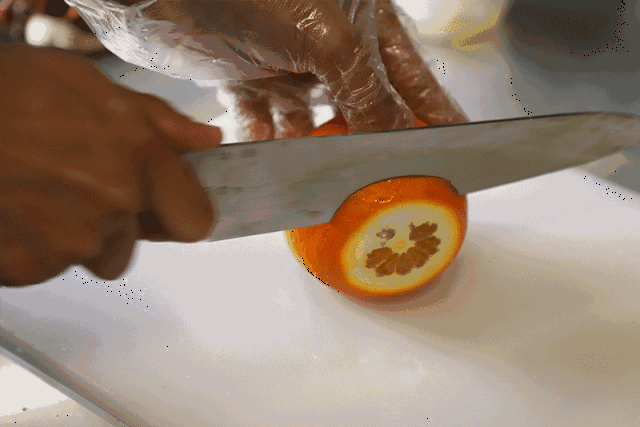 640_427gif 动态图 动图