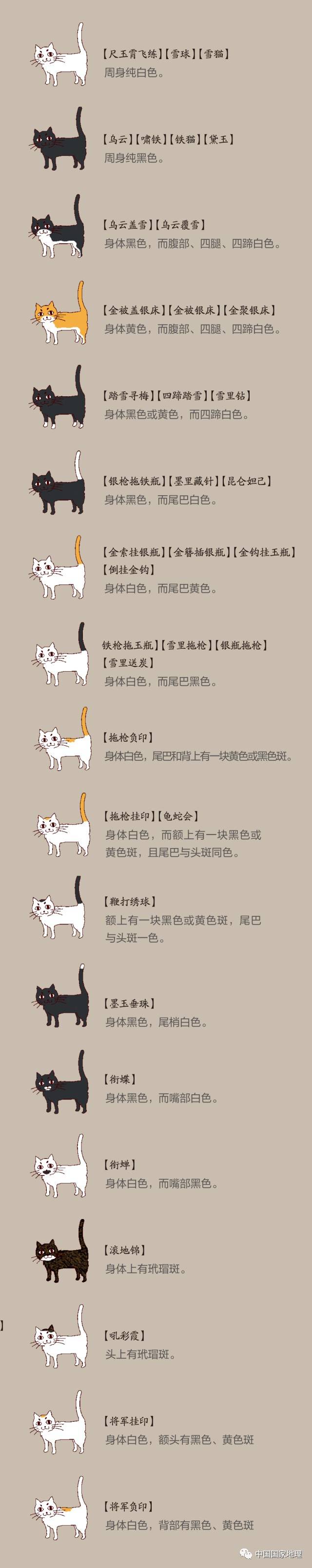 游也为其写下 溪柴火软蛮毡暖,我与狸奴不出门 猫的花色与命名