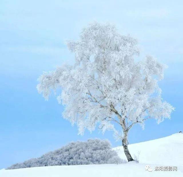 塞北的雪,坝上美景,瑞雪带来2018年新年祝福