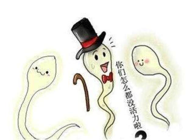 2,高畸形率精子