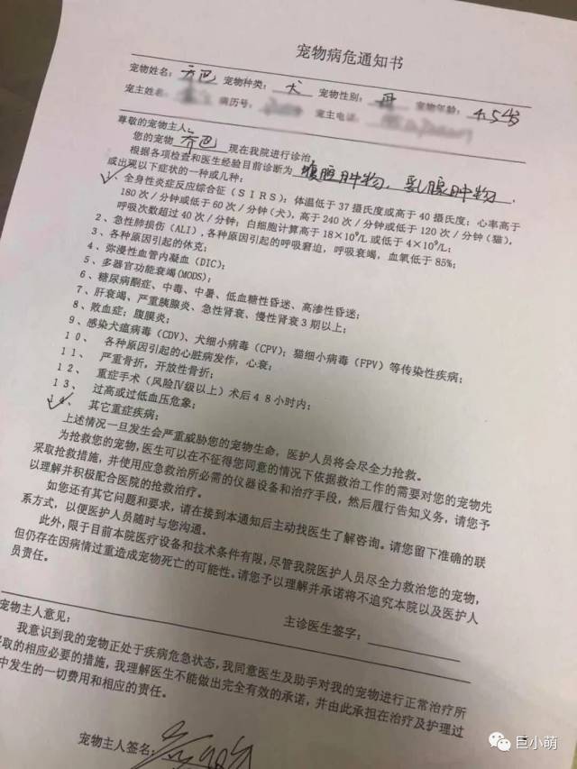 爱犬"绝育"后危殆,狗主申诉反遭恐吓:"我安排兄弟陪你