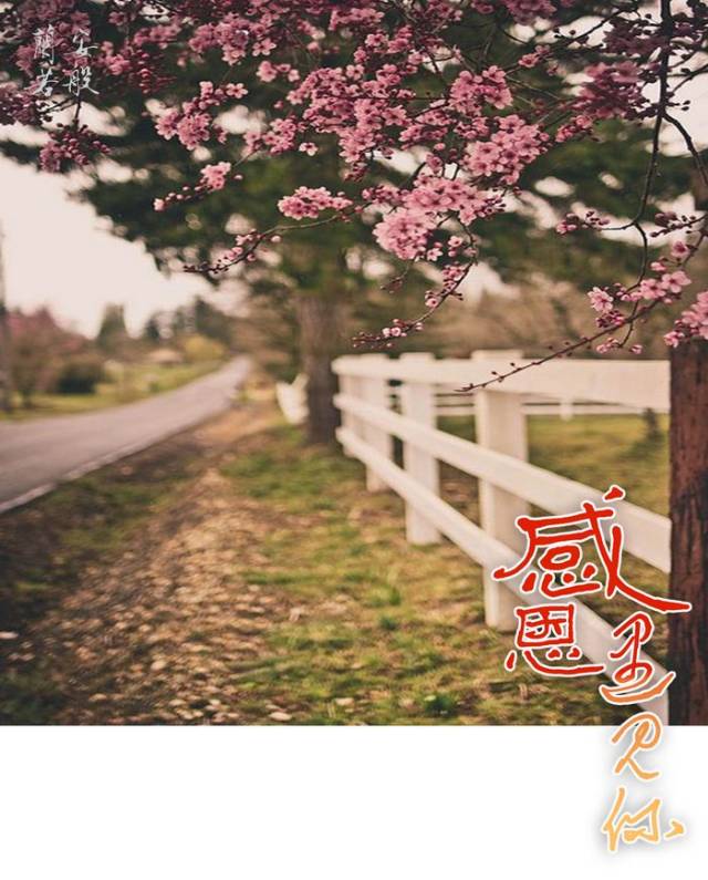 这一年,感恩遇见你!