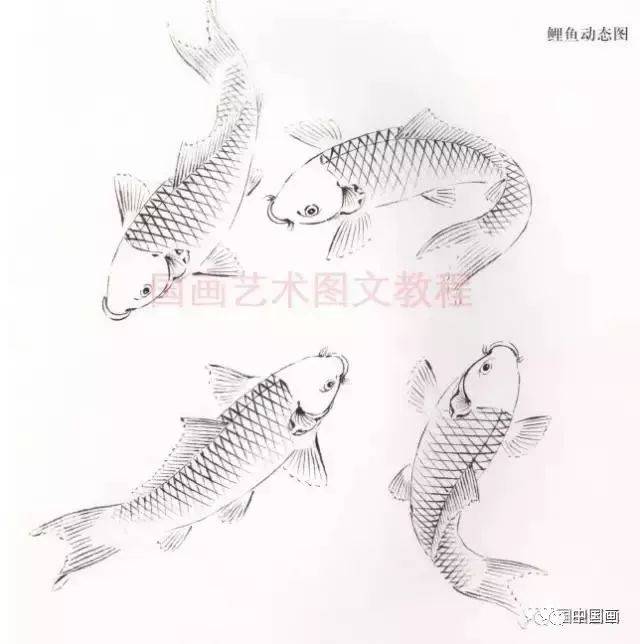 ɫĻ̳,Ĺͼ!