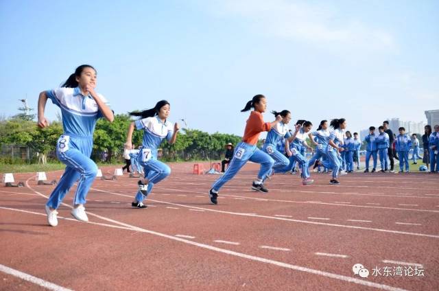 校园体育|2017电白一中学生运动会赛场掠影