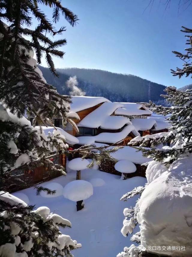 去东北看冰灯,赏雪景,攀长白山,观雾凇喽!