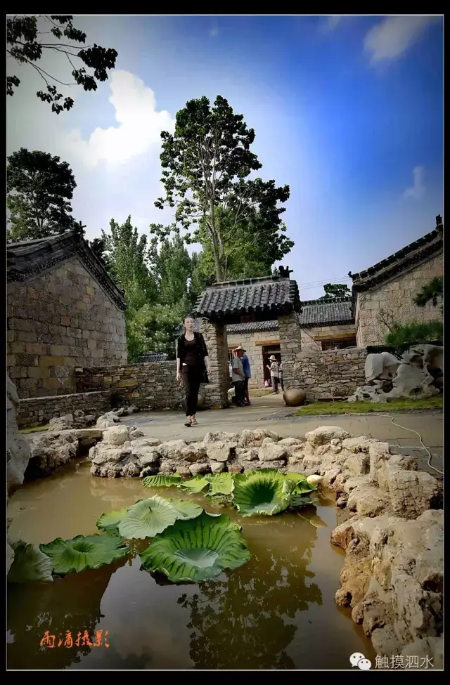 【"莓"丽泗水,"莓"好相约】泗水南仲都草莓旅游狂欢节12月30号开幕