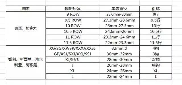 一年一度车厘子季节到来,各路品种都来pk!