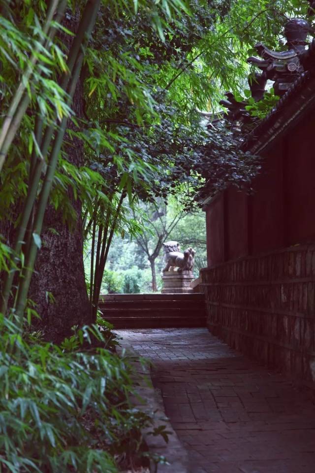在茶里,追寻一种高雅v境界境界和超然人生情趣的便宜这么淘宝情趣内衣为什么图片