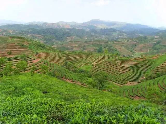 云南唯一一眼望三国的边境小城,竟私藏了这么多美景!