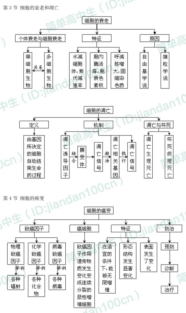 主要:细胞增殖,有丝分裂,细胞周期,细胞分化,细胞的全能性,细胞癌变
