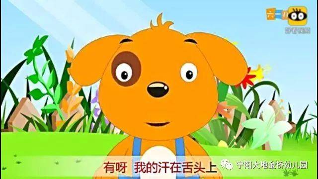 宁阳大地金桥幼儿园——教师故事大赛《小猫找汗》