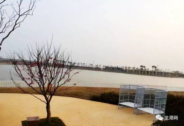 龙港新城月湖公园最新美景流出
