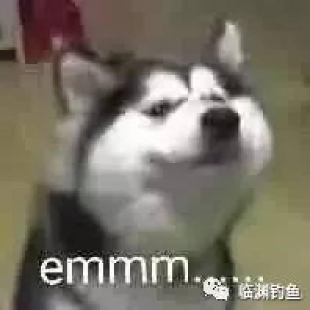 笑掉裤子:2017年最火表情包,最搞笑图片,最没品新闻集锦