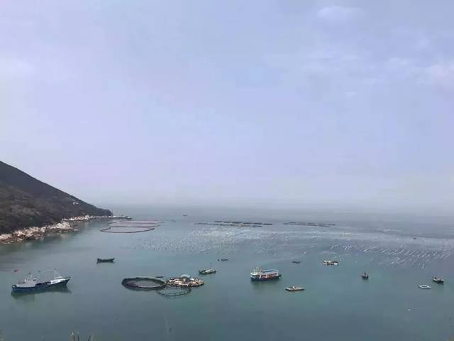 台州人传疯了!68岁老人,靠一条黄鱼创业成网红!2018年第一励志