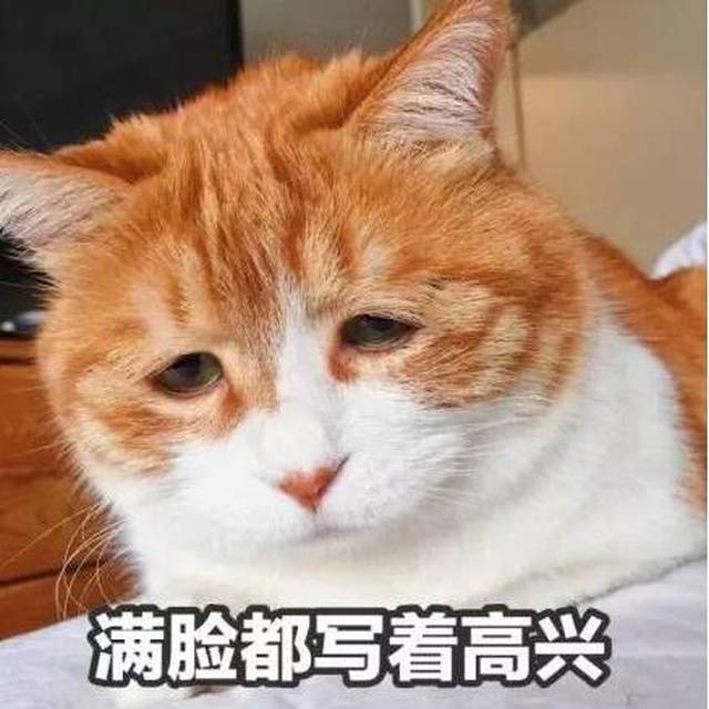 2017最受欢迎的表情包合集,总有一款霸占了你的聊天记录