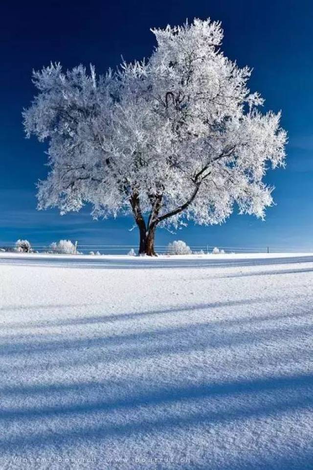 下雪啦!雪景拍摄技巧攻略大全