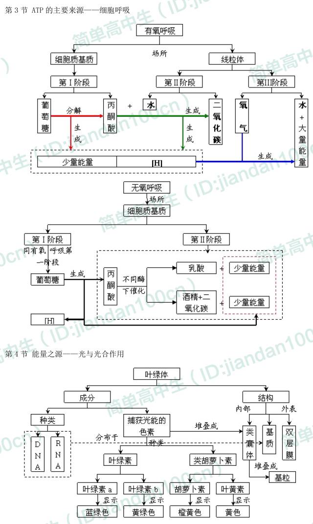 主要:酶,atp,细胞呼吸,有氧呼吸,无氧呼吸,光合作用,光反应阶段,暗