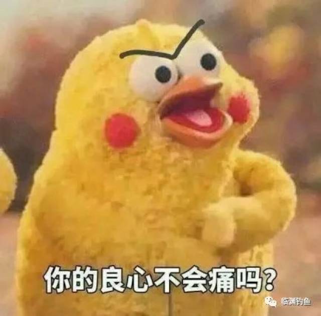 笑掉裤子:2017年最火表情包,最搞笑图片,最没品新闻集锦