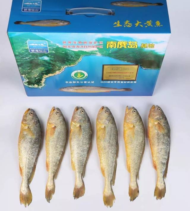 台州人传疯了!68岁老人,靠一条黄鱼创业成网红!2018年第一励志