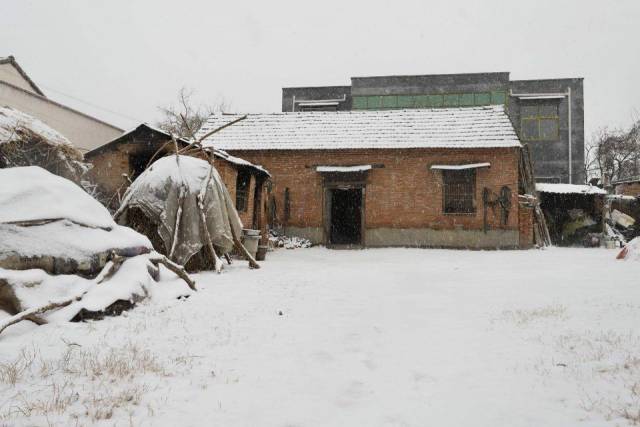 周口乡村的雪景,可以称得上纯净,宁静的乡村,能听到雪落的声音.