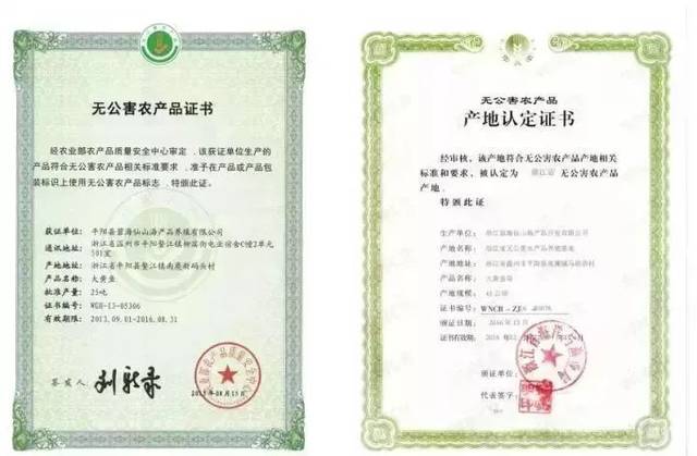 台州人传疯了!68岁老人,靠一条黄鱼创业成网红!2018年第一励志