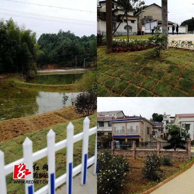 栗山镇洪芙村仑上美丽屋场