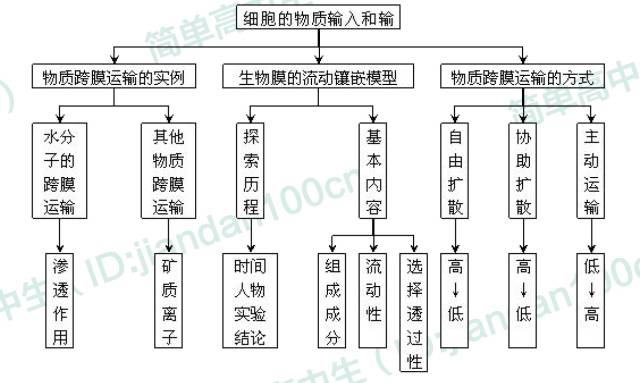 二,本章总概念图 一,本章核心概念 主要:酶,atp,细胞呼吸,有氧呼吸