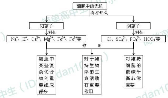 高中生物必修一概念图汇总,敢说你不需要吗?