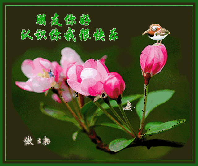 明日小寒,一首《牵挂》太美了,送给我牵挂的人!