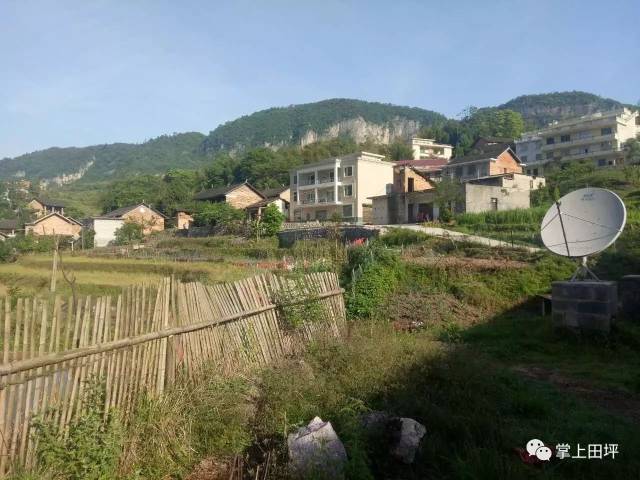 乡下上街叫赶场(附田坪镇各地赶场时间表)!